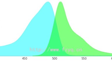 mEGFP綠色熒光蛋白的激發(fā)光和發(fā)射光